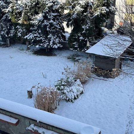 Ferienwohnung Dieblich An Der Mosel Exterior photo